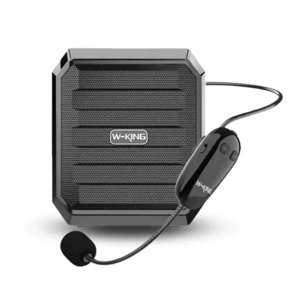SPEAKER BT +NIC MIC KS10
